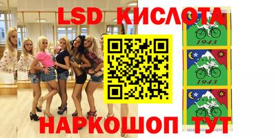 spice Бердск