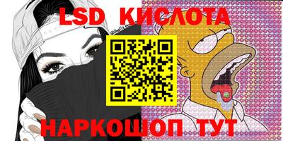 spice Бердск