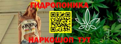 spice Бердск