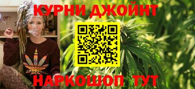 spice Бердск