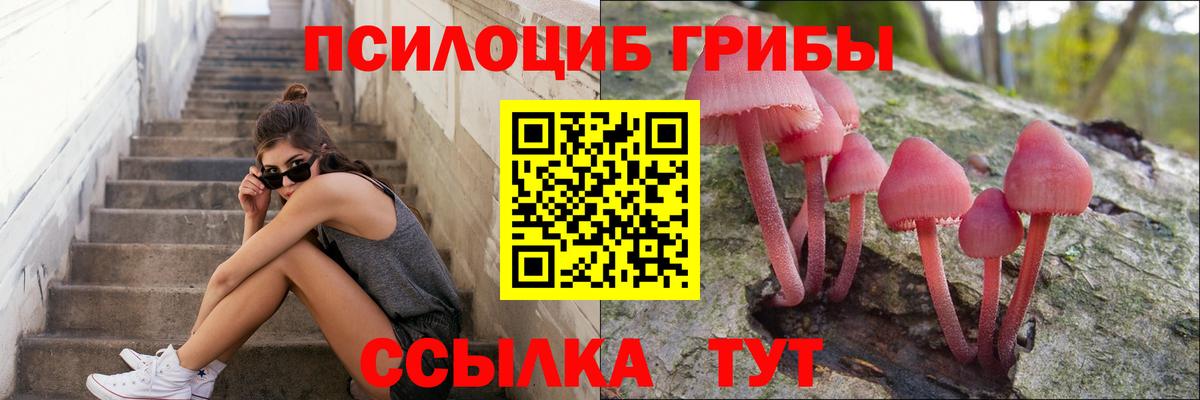Галлюциногенные грибы мухоморы  Вход с VPN  Владикавказ  Псилоцибиновые грибы мицелий 